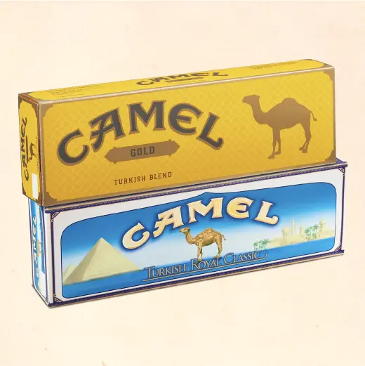 Camel King Box | NEPA Wholesale