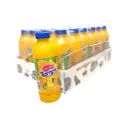 TAMPICO CITRUS PUNCH 20 FL OZ