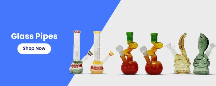 Glass Pipes | NEPA Wholesale