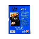 SPECIAL BLUE 1CT