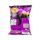 LAYS EXOTIC CHIPS BIG WAVE 
