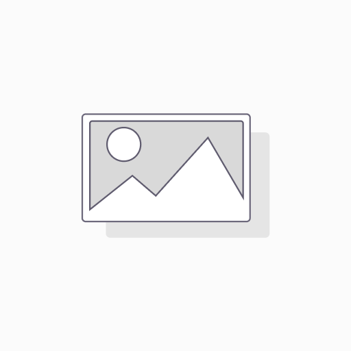 DUAL CAR 2A TRIANGLE TYPE C + USB PORT 20PC